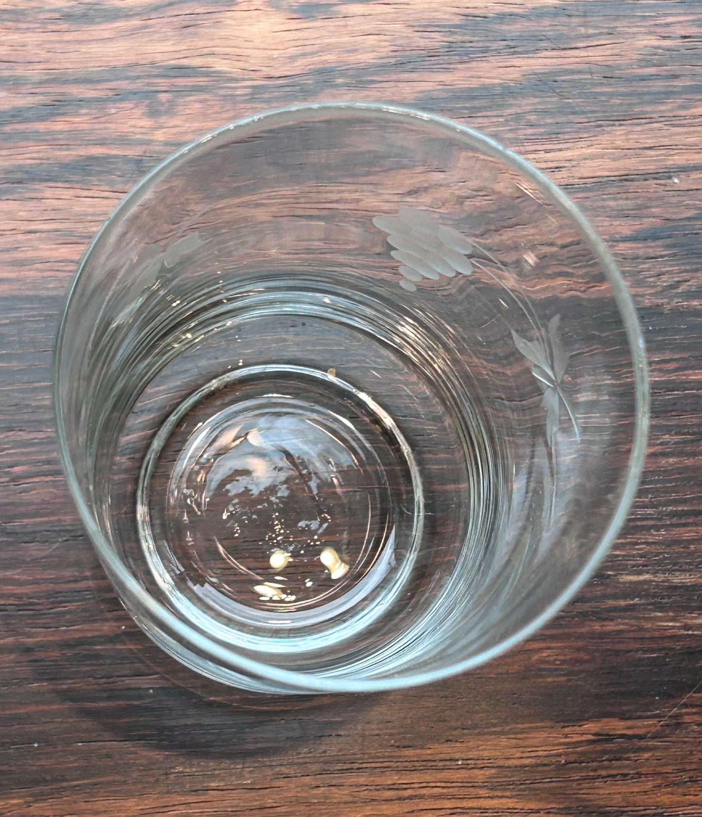 Selterglas - små dricksglas - etsad dekor - druvklasar